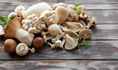 Assortment of various mushrooms