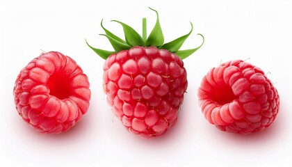 "Fresh Delights: A Gathering of Raspberries"