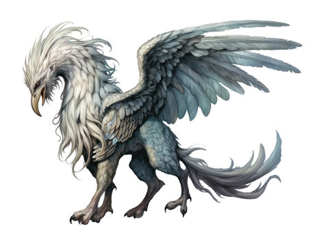 PNG Hippogriff animal dragon bird.