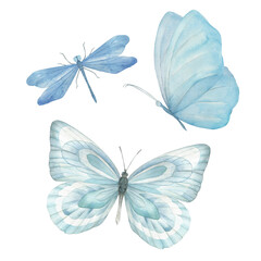 Watercolor blue butterflies and dragonfly collection. Hand drawn isolated illustration on white background.