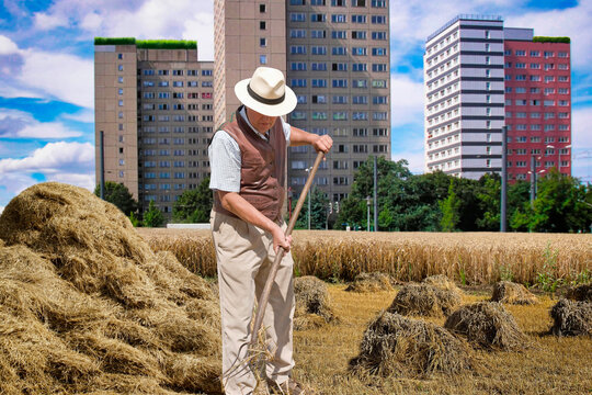 Landarbeiter bei der Feldarbeit am Stadtrand eines Wohnviertels