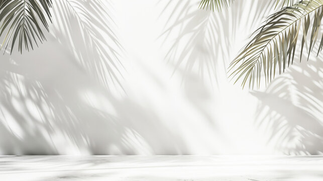Delicate Background With Beautiful Plant Shadow