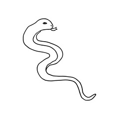 Snake, reptiles, scaly. Reptile. Doodle. Vector illustration. Hand drawn. Outline.
