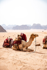Fototapeta premium A bedouin with a camel in the desert of Wadi Rum in Jordan