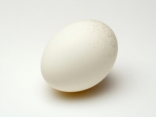 A white chicken egg on a white background