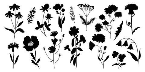 Wildflower blooming plants black silhouettes botanical art set isolated on white background