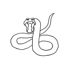 Fototapeta premium Snake, reptiles, poisonous, scaly. Reptile. Doodle. Vector illustration. Hand drawn. Outline.