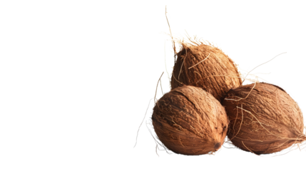 Transparent isolated coconut background
Tropical fruit on transparent background