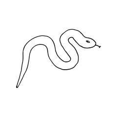 Snake, reptiles, scaly. Reptile. Doodle. Vector illustration. Hand drawn. Outline.