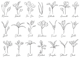 Micro greens sprouts natural eco food in sketch style with handwritten text inscription isolated set