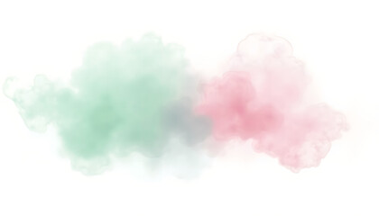 Fototapeta premium Mint Green & Dusty Pink ink on white background