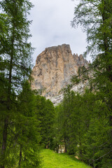 Fototapeta premium Hiking in Ciampedie near Catinaccio mountain following the path to Malga Vael - Val di Fassa - Italy