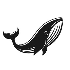 Clean black and white vector silhouette of a whale isolated on white background
