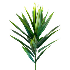 Obraz premium A close-up image of a vibrant green tropical leaf branch isolated on a black background.