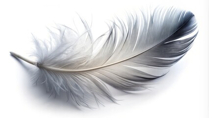 Obraz premium Dramatic close-up of a single, delicate, sacred feather isolated on a pure white background, symbolizing freedom, spirituality, and the beauty of nature's simplicity.