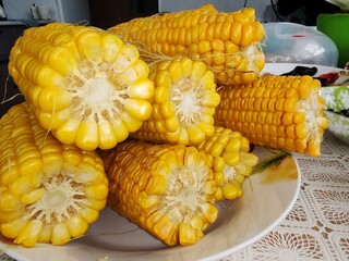 Fresh corn on the cob