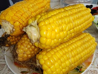 Juicy yellow corn on plate