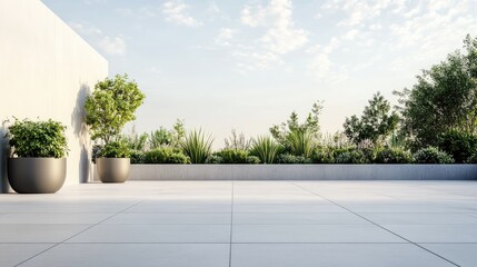 Empty outdoor roof terrace with potted plants in a minimal style. Perfect for modern and serene outdoor spaces.