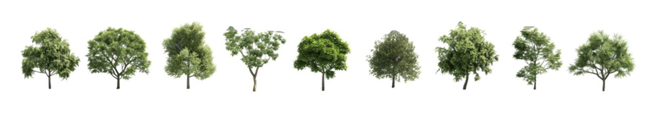 Set of different variants tree isolated on transparent background.