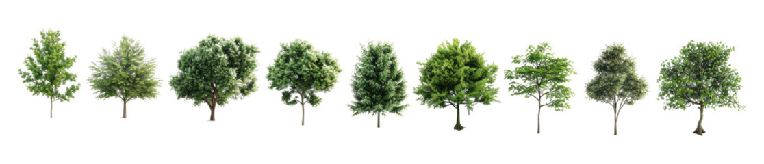 Obraz premium Set of different variants tree isolated on transparent background.