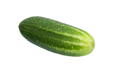 Cucumber vegetable on white background.