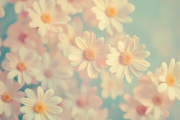 Obraz premium Vintage fade photo of a bouquet of daisies, wallpaper or banner design