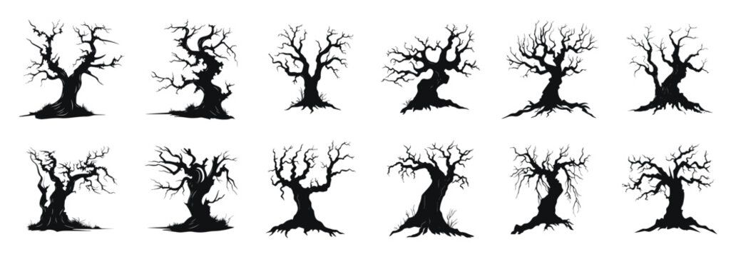 Haunted trees vector cartoon illustration. Collection of eerie, bare, and twisted scary tree in black and white.