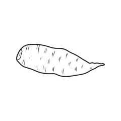 Whole sweet potato Ipomoea batatas unpeeled in black isolated on white background. Hand drawn vector sketch illustration in doodle engraved vintage line art style. Superfood, tasty vegetable