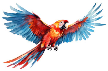 Fototapeta premium PNG Animal parrot macaw bird.