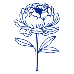 A blue outline of a peony flower with leaves