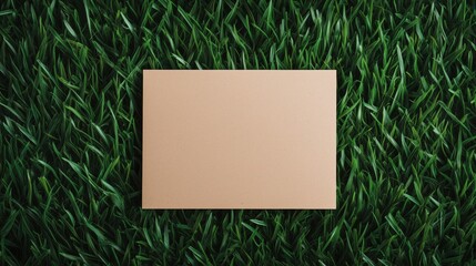 Blank card lying on a bed of green leaves. Perfect for nature-themed messages, eco-friendly announcements, or invitations.

