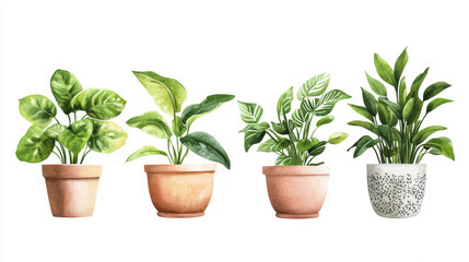 realistic, illustration, potted plants, lush green leaves, unique textures, varying designs, varying colors, varying sizes, cohesive aesthetic, white background, clean, minimalist, natural beauty, det
