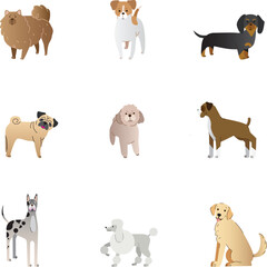 Set of illustrations of different breed of dogs, hand-drawn as vector graphic