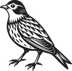 cute bird vector