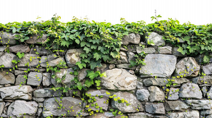 stone wall with moss