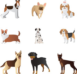 Set of illustrations of different breed of dogs, hand-drawn as vector graphic