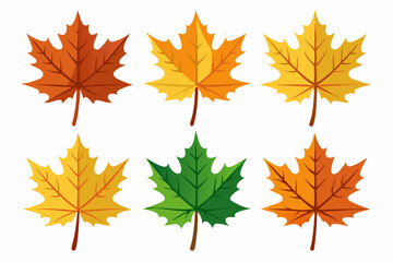 Maple leaf setart vector illustration
