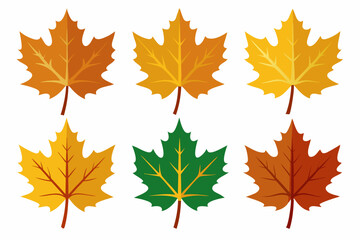 Maple leaf setart vector illustration