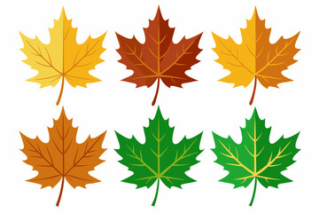 Maple leaf setart vector illustration