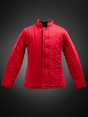 Historical fashion. Medieval knight cloth. Padded jacket gambeson.