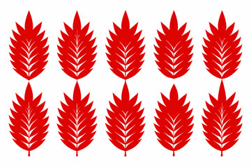 Fototapeta premium Set of 9pes different type of Western Red Cedar leaf art vector illustration