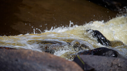 The small cascade on the river
