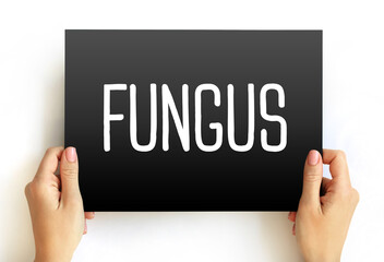 Fungus is any member of the group of eukaryotic organisms that includes microorganisms such as...