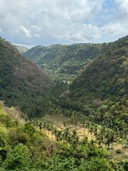 Fototapeta premium landscape of the mountains