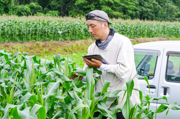 タブレット端末で農作物を管理する男性