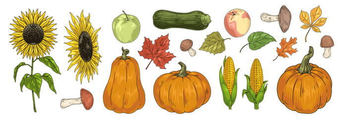 Autumn harvest set labels colorful