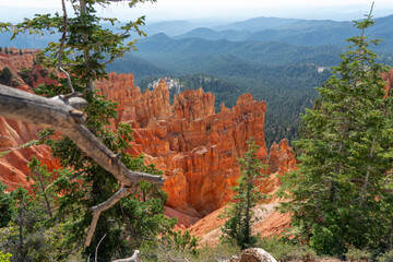Bryce Canyon: A Symphony of Hoodoos and Nature's Artistry
Experience the otherworldly beauty of Bryce Canyon, where towering hoodoos and vibrant rock formations create a stunning amphitheater of natur