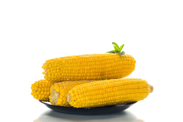boiled sweet delicious corn in a plate