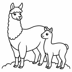 A beautiful Alpaca is standing with baby on the grass art vector illustration