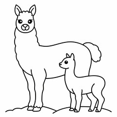 A beautiful Alpaca is standing with baby on the grass art vector illustration